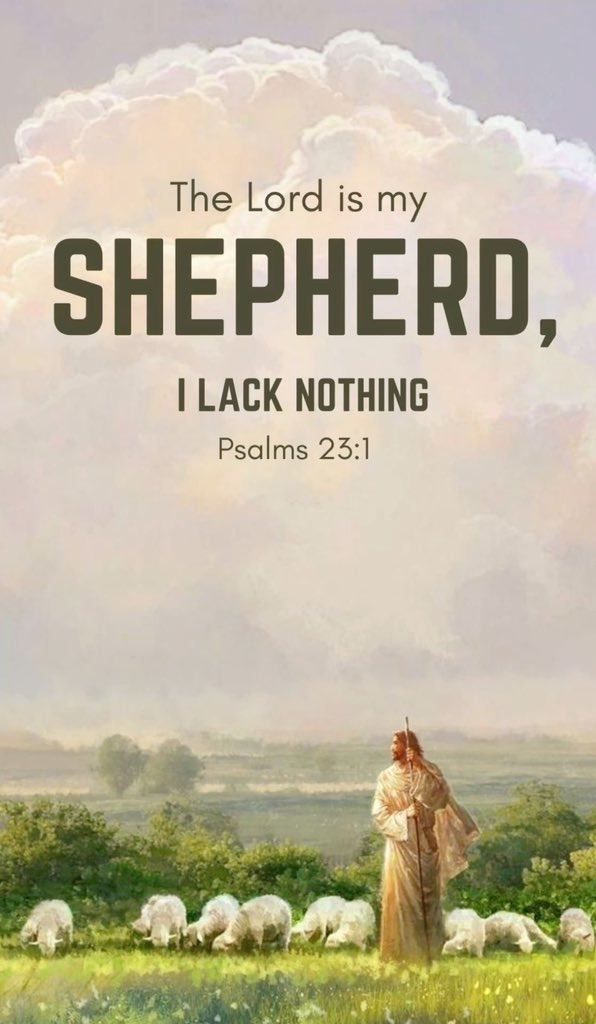 Holy Bible tweet media