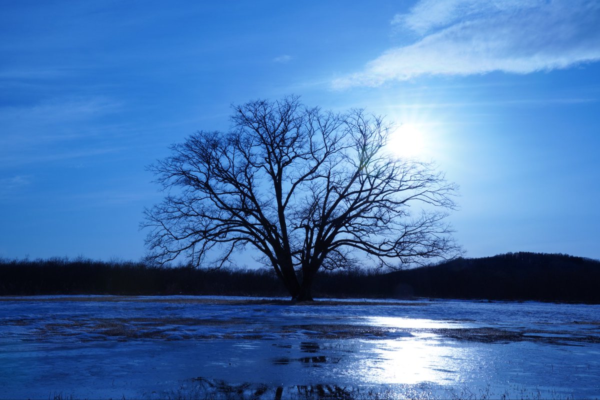 りゅう tweet media