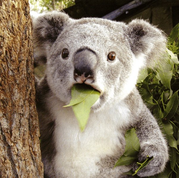 FPL Marcin tweet media