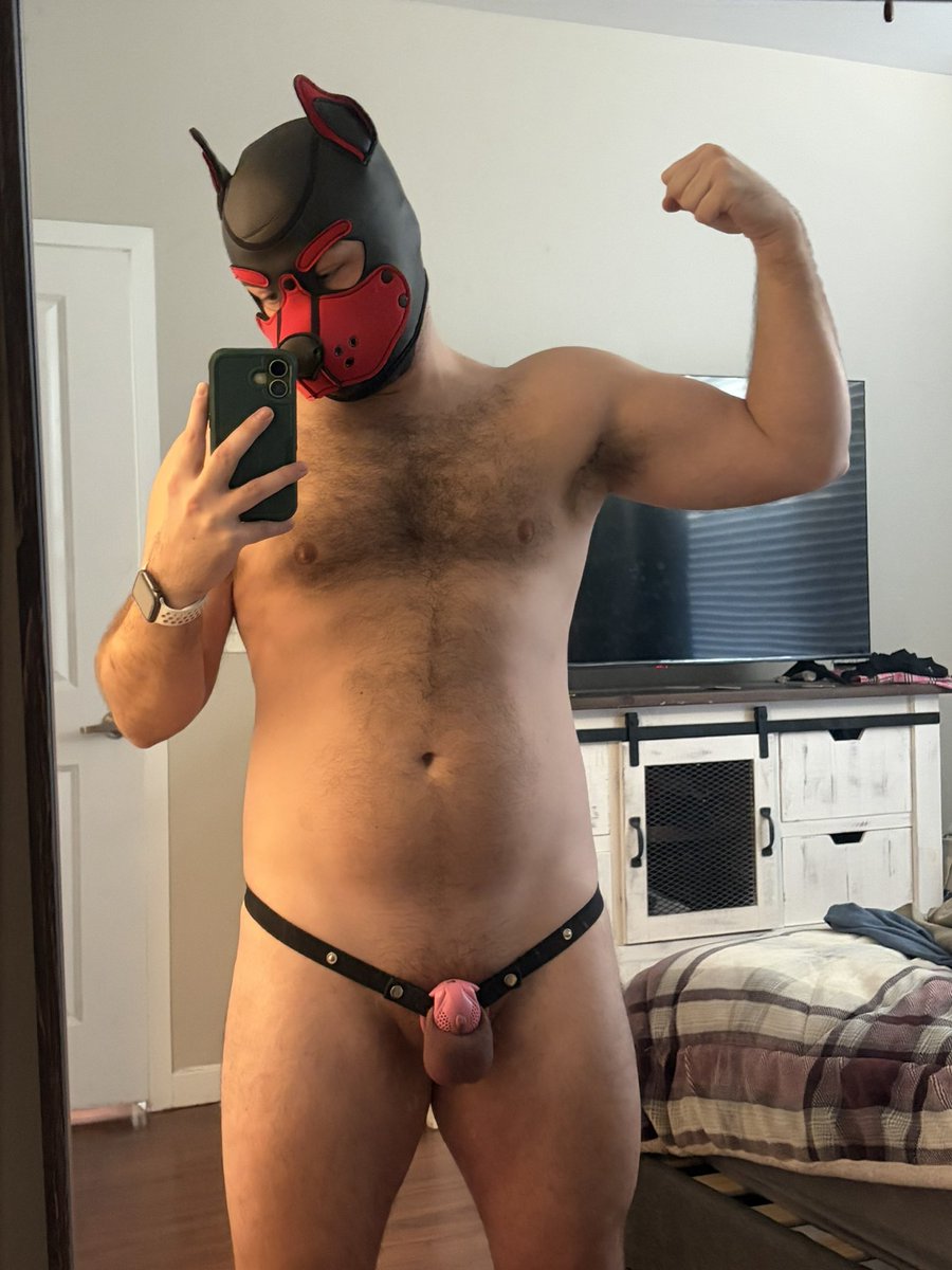 snapbackbttm tweet media