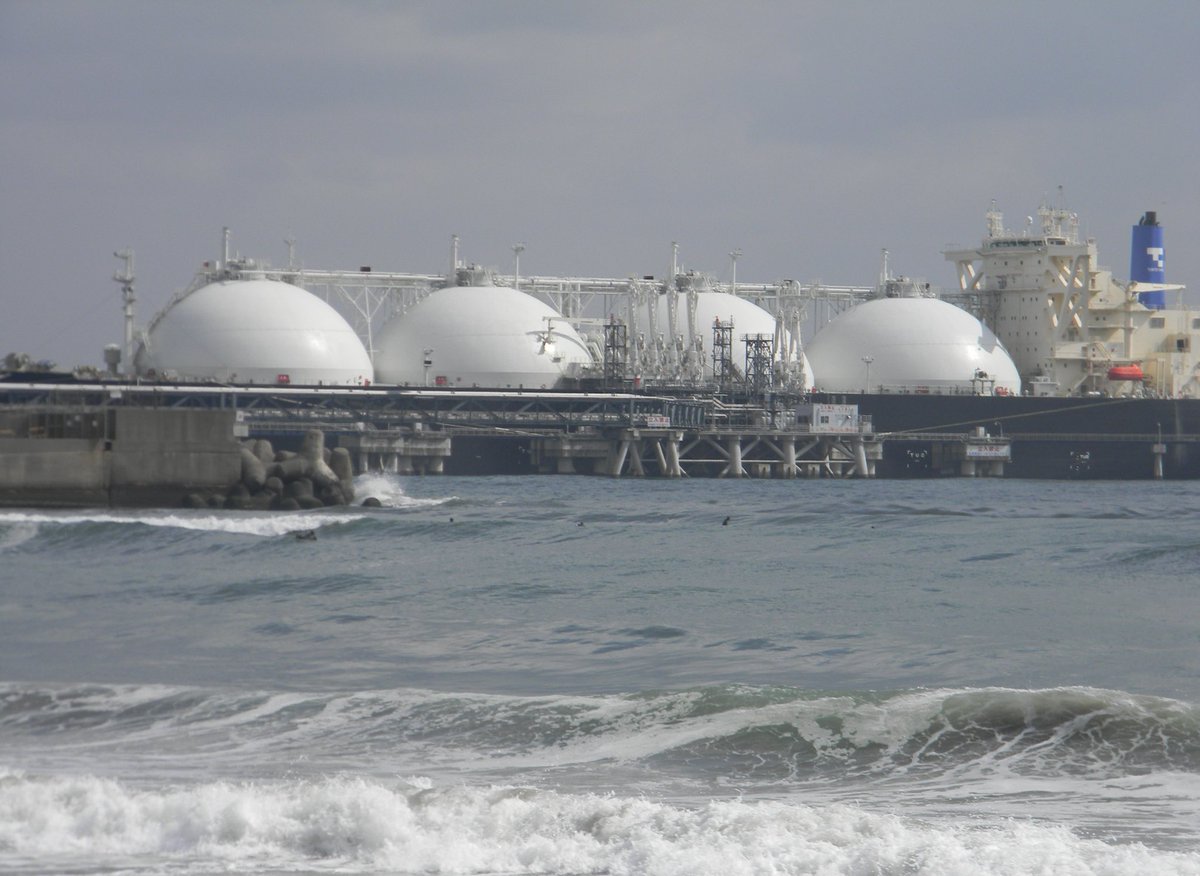 存分に歩く tweet media