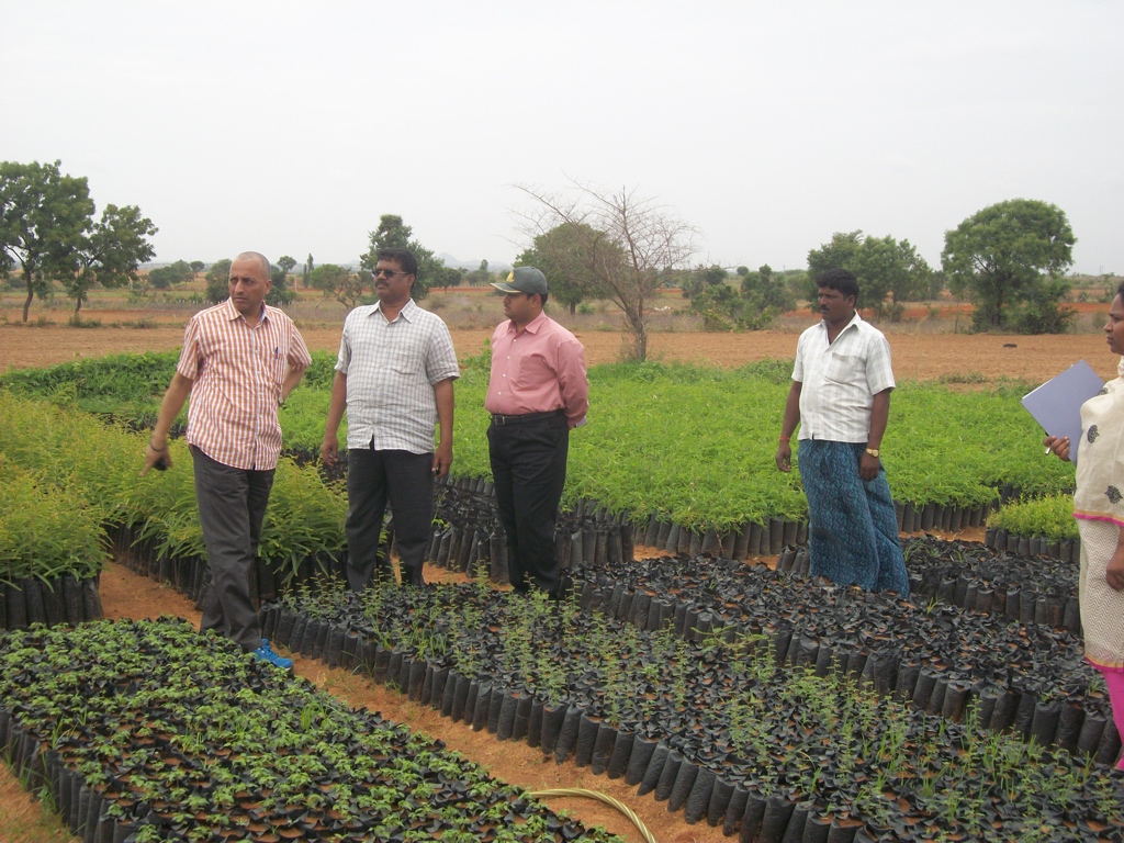 pargaien's tweet image. Sunday morning archives. 📸 Inspecrting field. 
A lot has changed since then, but the passion for the work is the same. 
Time flies when you’re out in the elements! 🪵🍃 #SundayReflection #TBT #WorkLife
#Downmemorylane