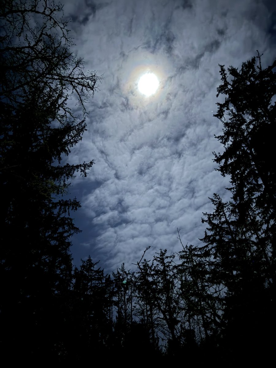 Love these brisk evenings that we have been having