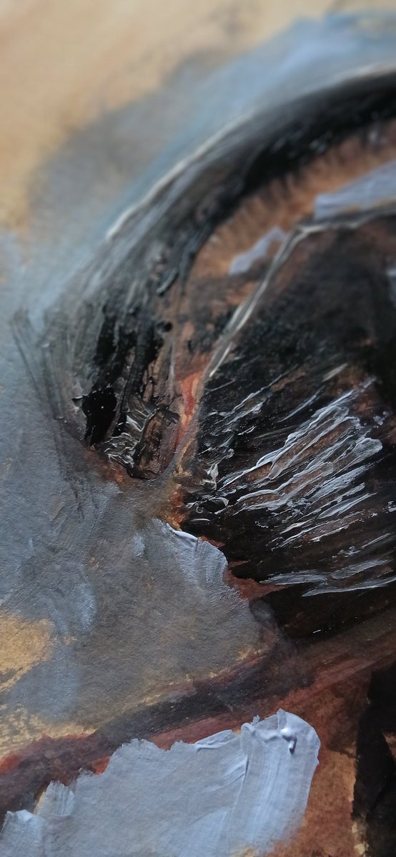 Declan Loftus tweet media