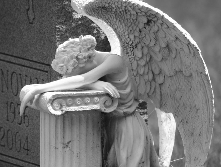 ★🥓Max do ed 🥓★ tweet media