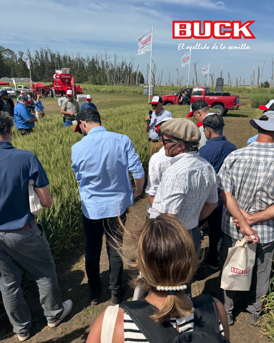 Buck Semillas tweet media