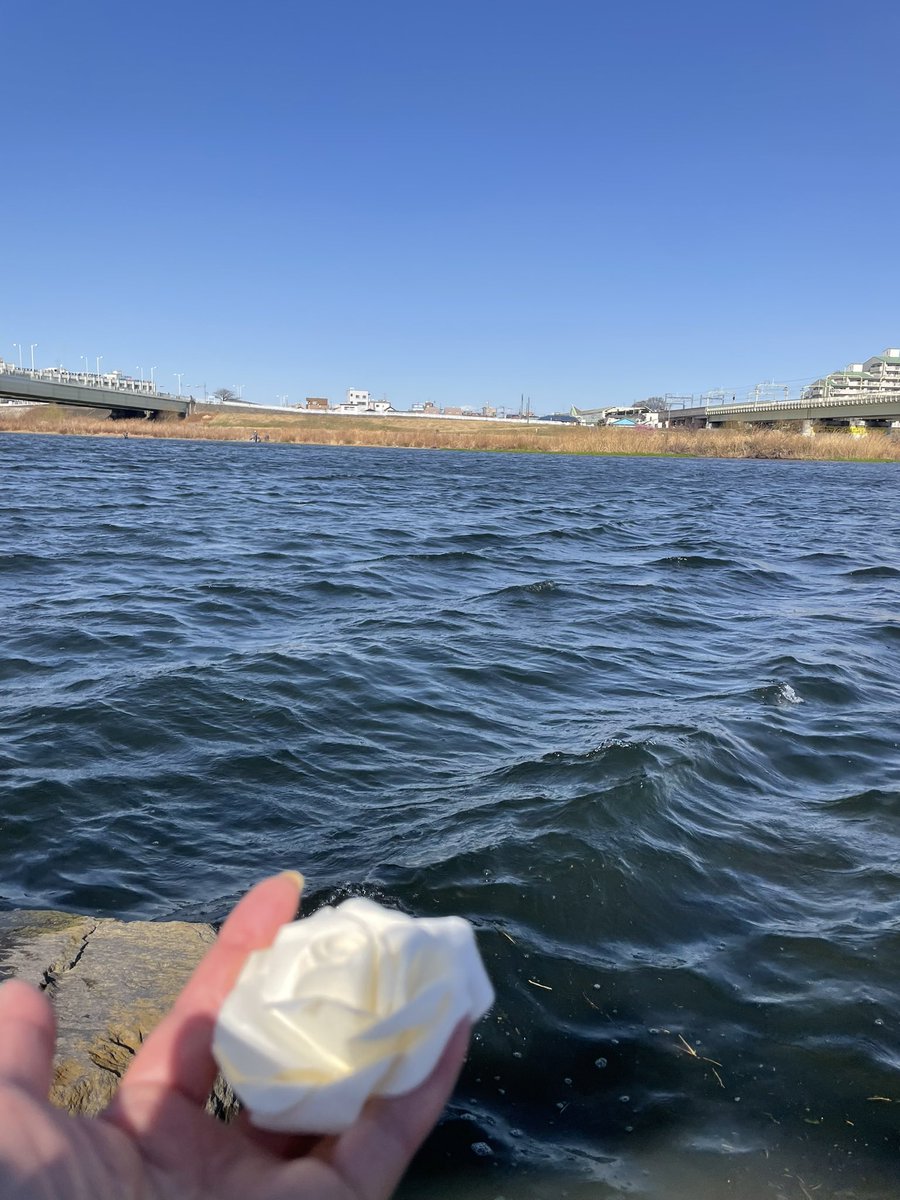 松本理永 tweet media