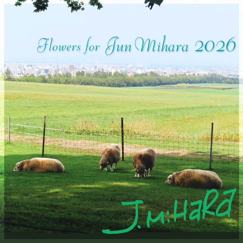 ごだま 2026年「三原順 原画展~夢をごらん~」 tweet media