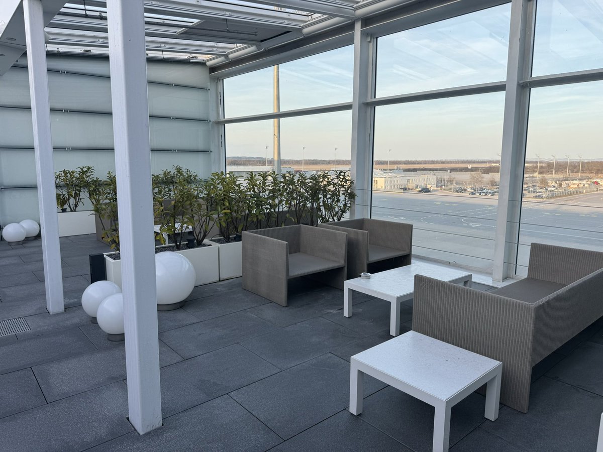 88888Human tweet media