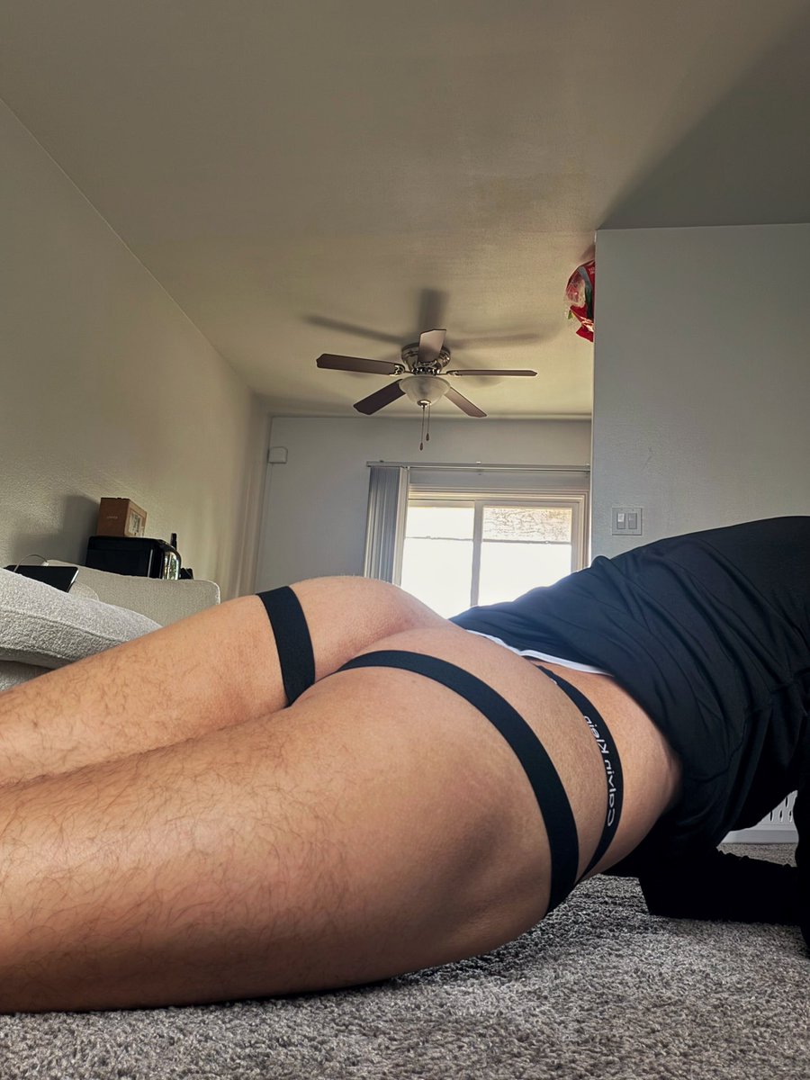 SD bottom tweet media