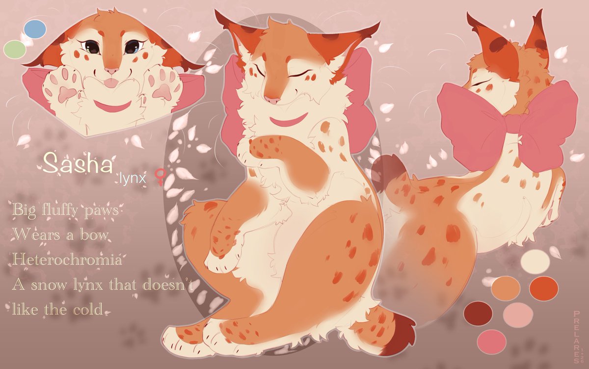 ✨🌈 c o d a 🌈✨🔞 tweet media