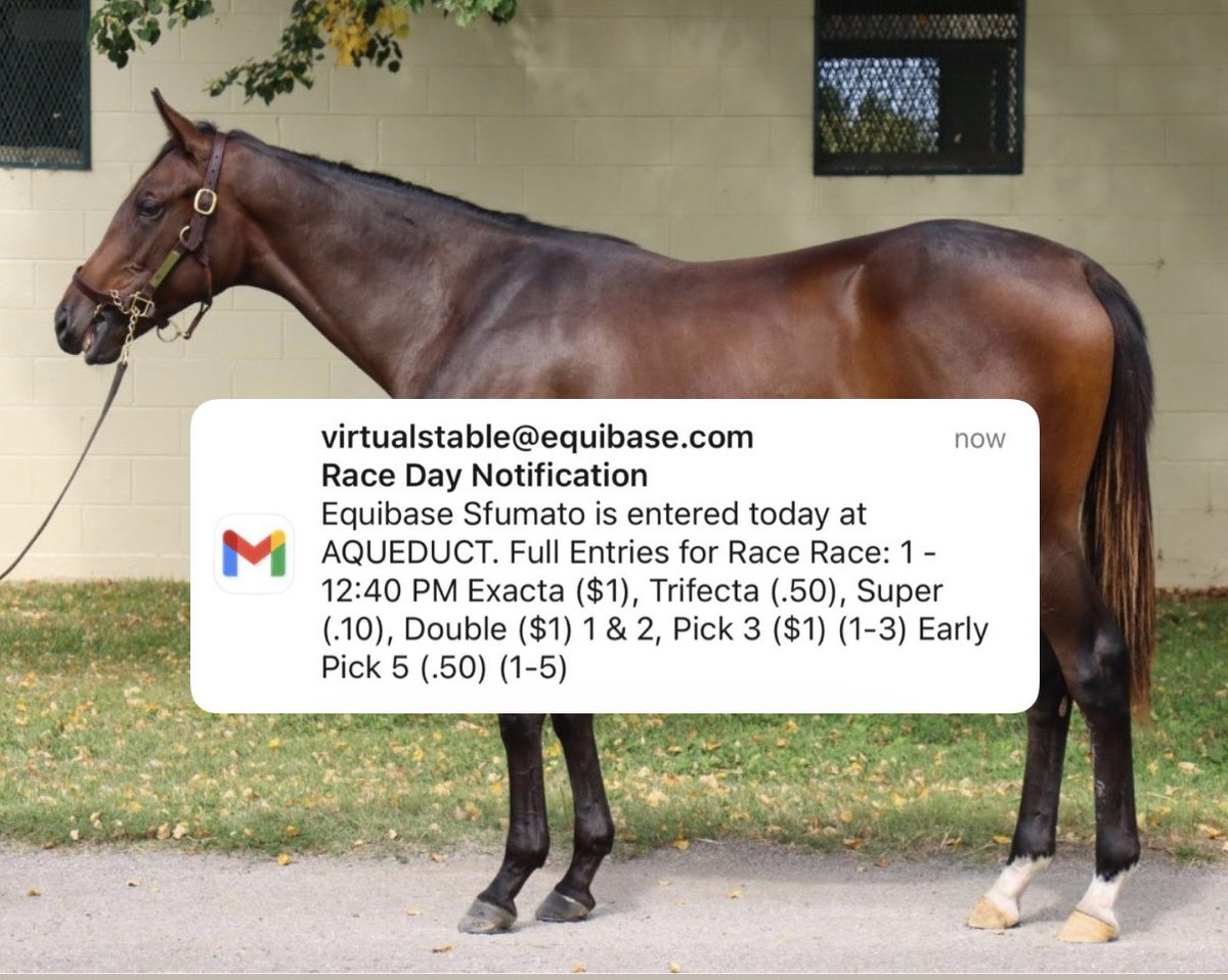 Dream Maker Racing tweet media