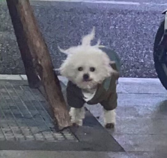 #누구보다_느린_3월_최애_선점