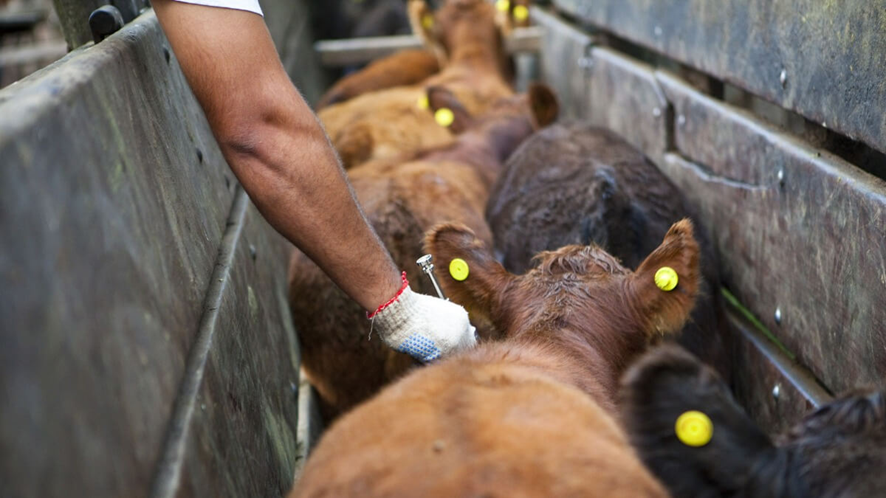 Sociedad Rural ECZ tweet media