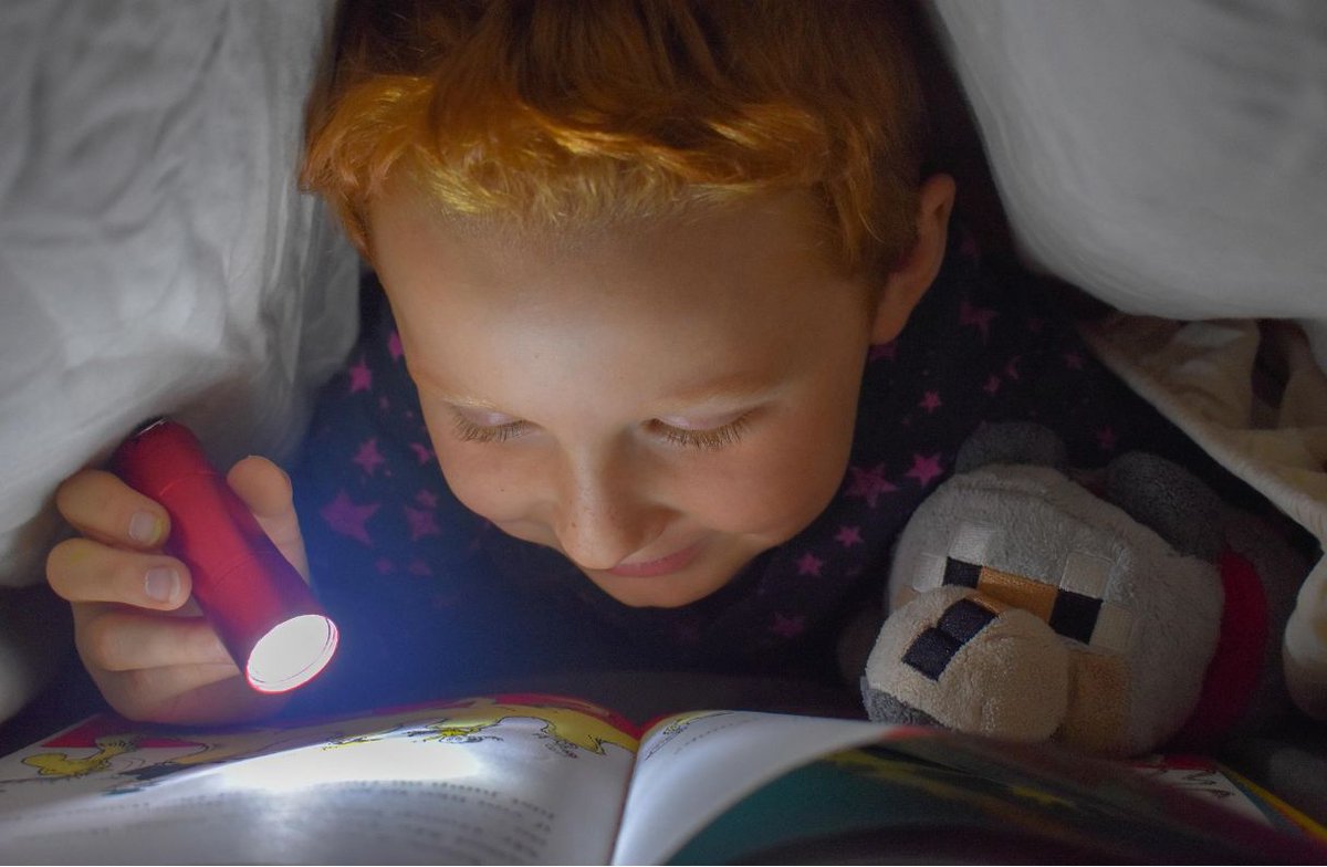 My Book Therapy tweet media