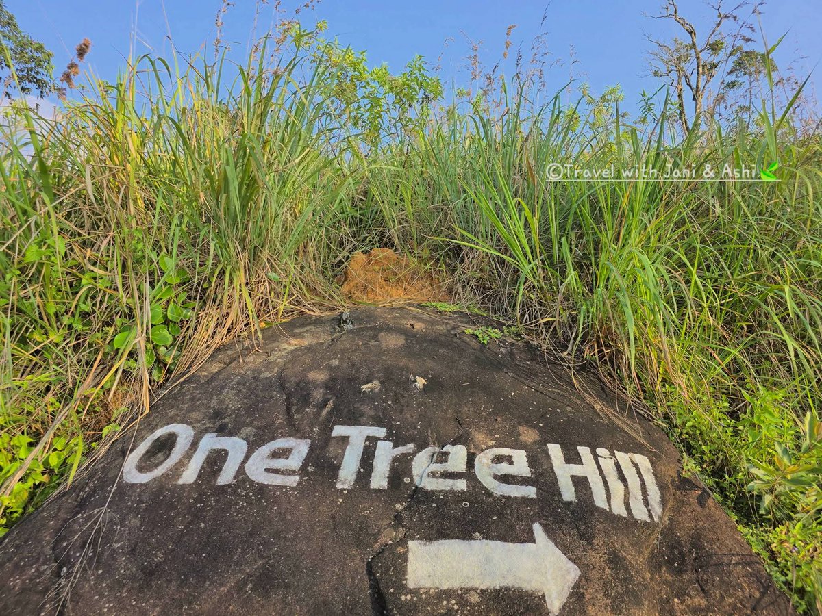 JaniNAshi3's tweet photo. 2) 🍃🎒🥾කන්ද උඩ තියෙන ඒ හුළඟ යි නිදහස යි විඳින්න මේ වගේ දවසක් ම ඕනේ... | 𝑶𝒏𝒆 𝑻𝒓𝒆𝒆 𝑯𝒊𝒍𝒍 𝒗𝒊𝒃𝒆𝒔 🌳
𝐓𝐫𝐚𝐯𝐞𝐥 𝐰𝐢𝐭𝐡 𝐉𝐚𝐧𝐢 & 𝐀𝐬𝐡𝐢 ☘️ 🇱🇰
.
.
.
#jani_ashi #trending #viral #OneTreeHill #matale #TravelWithJaniAndAshi #SriLanka #Hiking #CoupleGoals #elkaduwa https://t.co/y6DkX4wo8W