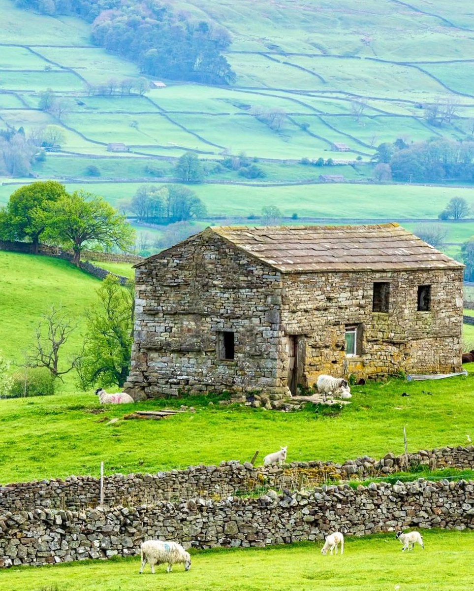 North Yorkshire tweet media