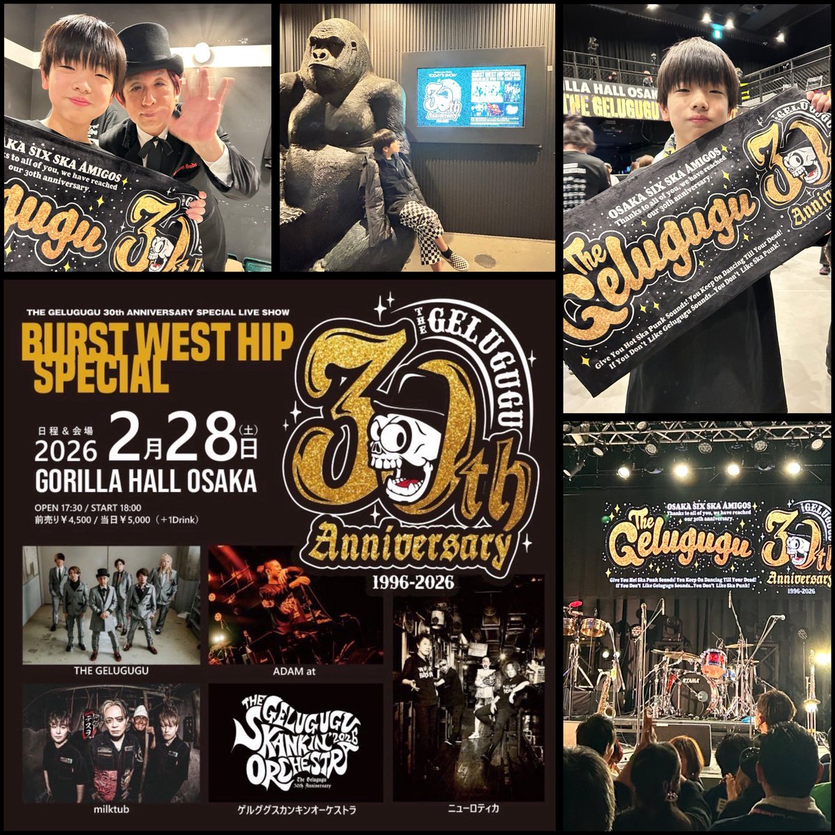 apricot (@apricot65570777) / Posts / X