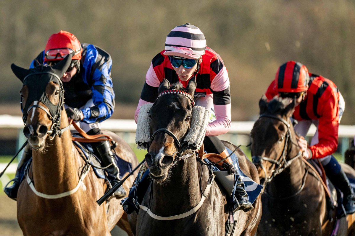 LingfieldPark's tweet photo. The Read Meg Nicholls' Blog @BetMGM Handicap (Class 6) DIV II

🥇Dandy Khan

🥈Royal Jet 

🥉U S S Constitution 

Winning Jockey: @loughnane_billy 
Winning Trainer: @jimboyle17 
Winning Owner: Dark Blue Bloodstock
📷:@dcoolimages https://t.co/hrsAXXxSoT