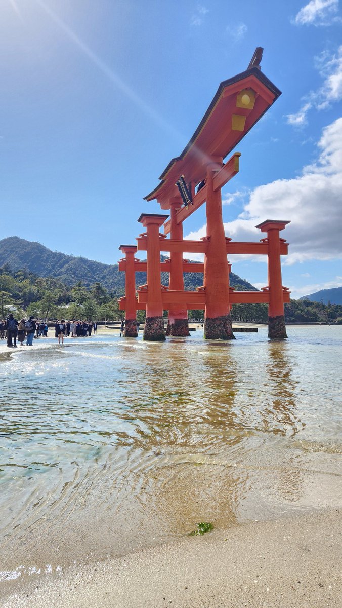 山本康人／マンガ家【公式】✏️✍🏻 (@YY12_official) / Posts / X