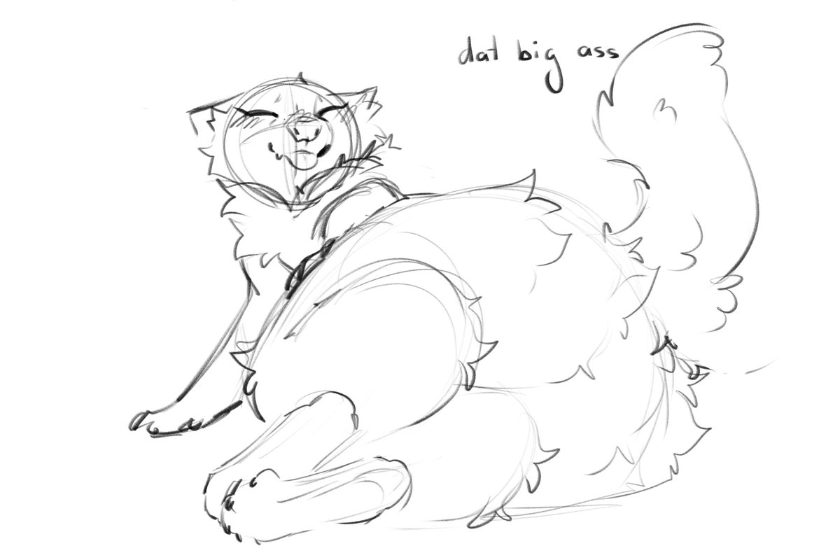 ✨🌈 c o d a 🌈✨🔞 tweet media