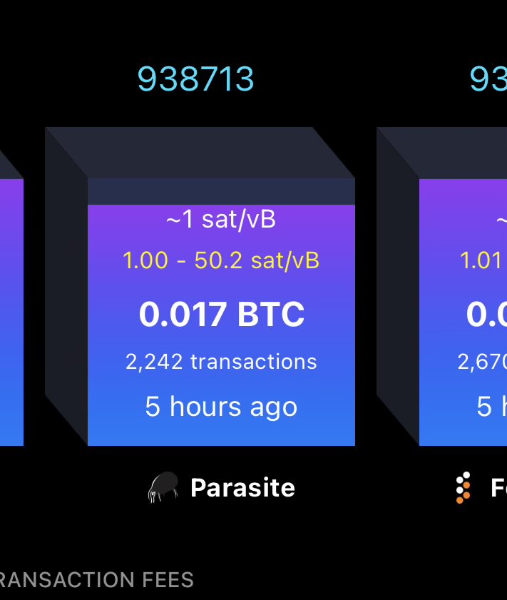 𝙱𝚘𝚋𝚋𝚢 tweet media