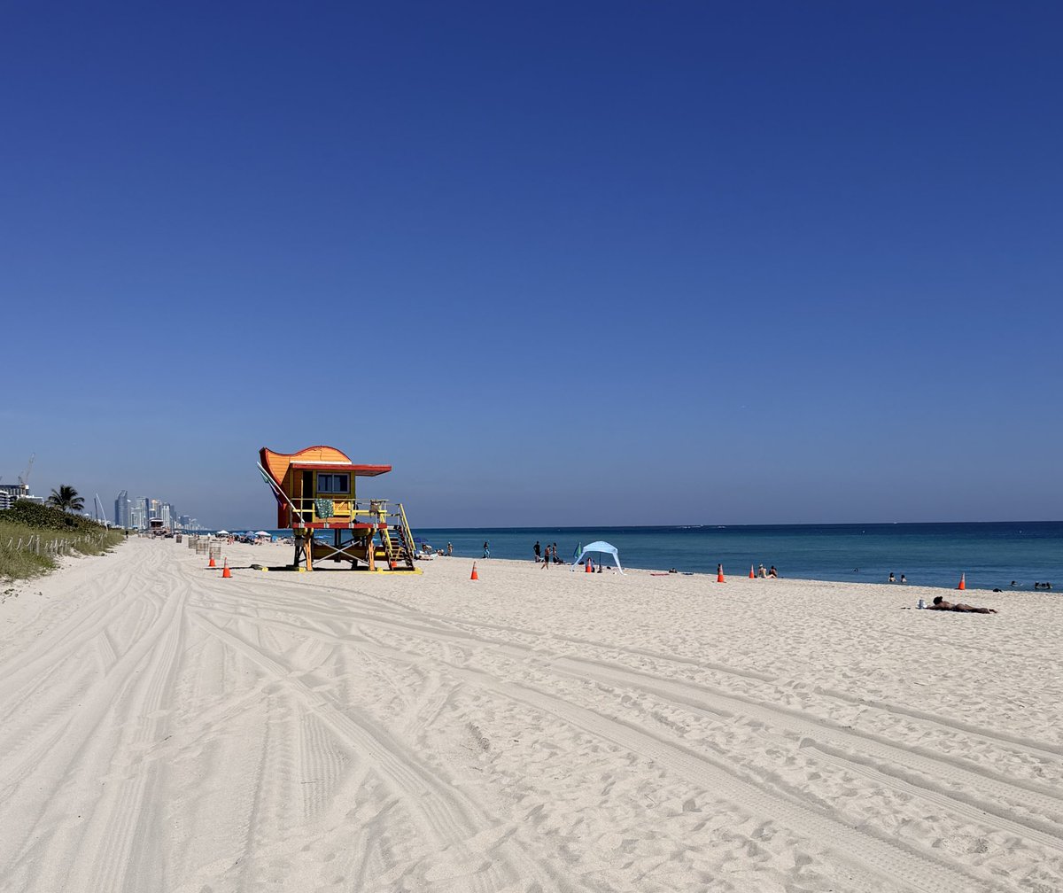 POV: It’s Saturday and you’re in Miami Beach 🌴✨