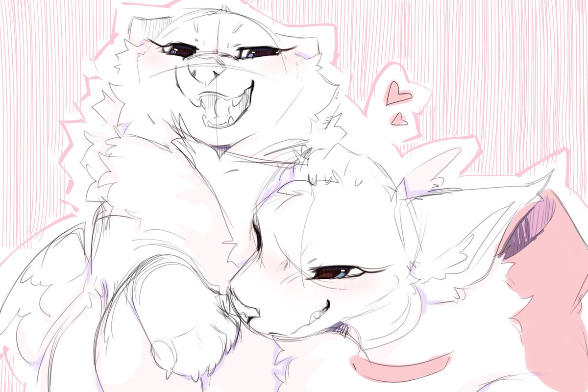 ✨🌈 c o d a 🌈✨🔞 tweet media