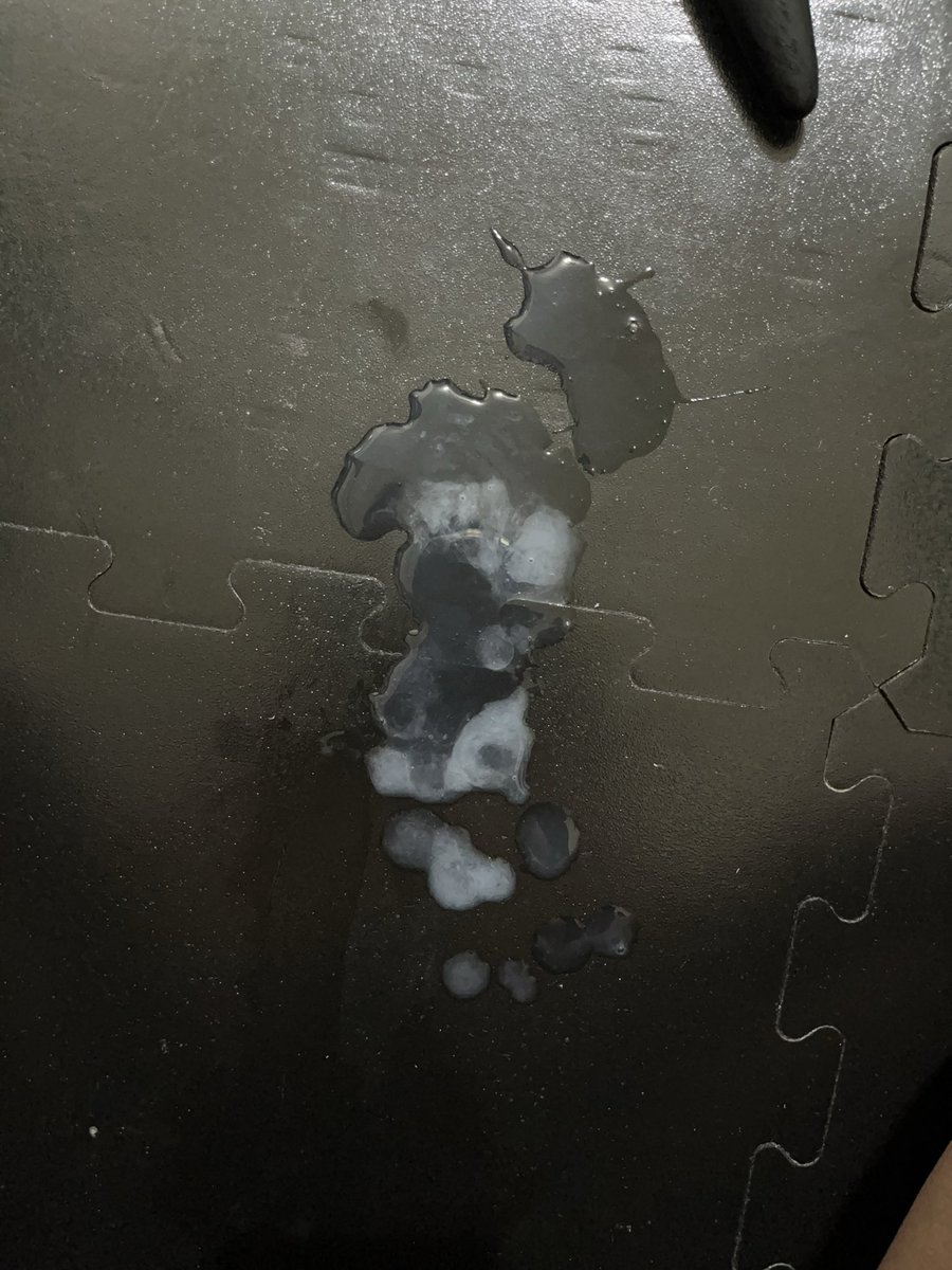 肌器狗 tweet media