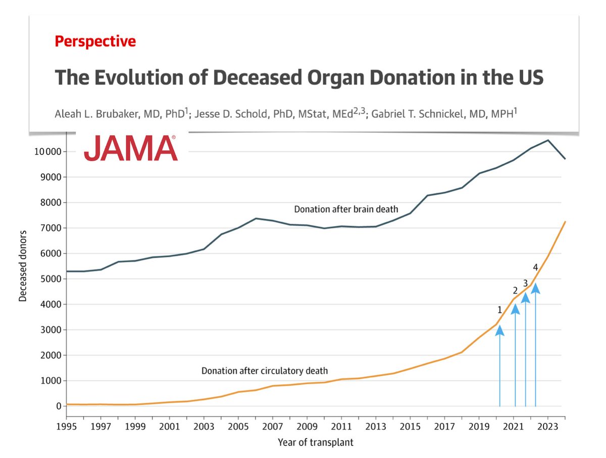 M Velia Antonini tweet media