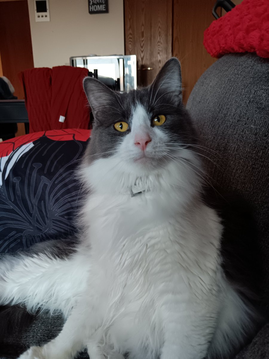 Linda Bell tweet media