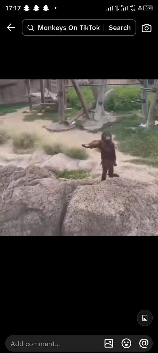 Raqib Halidu Holma tweet media