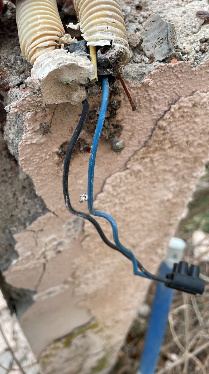 Denis Beauchamp 🧢 tweet media