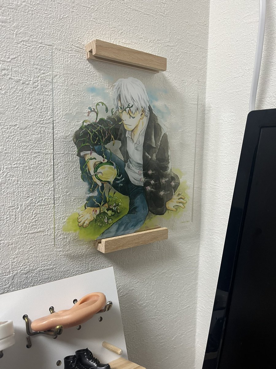 くじで当たったギンコのアクリルパネルを飾った (唯一所持している蟲師