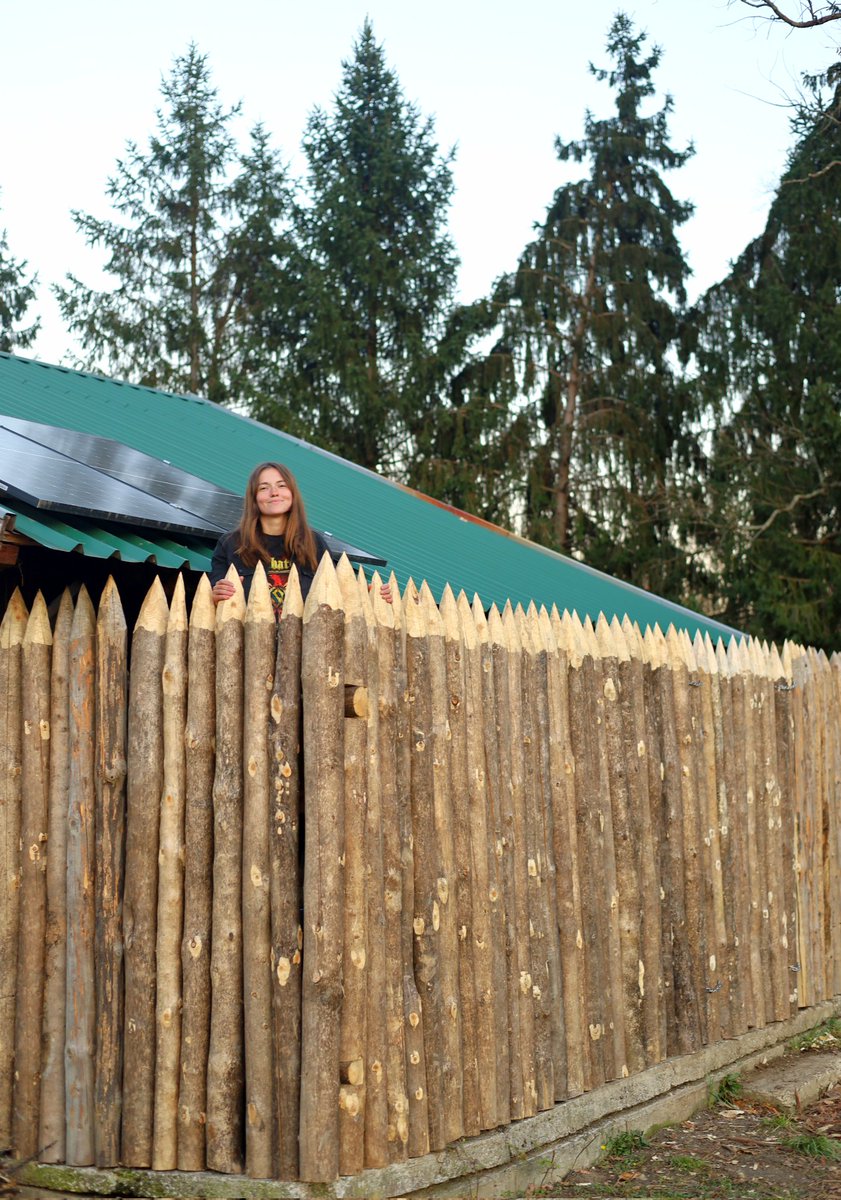 King of the Marsh tweet media