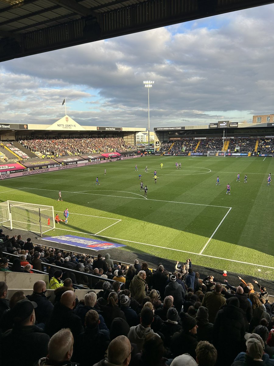 Thomas Pepper tweet media