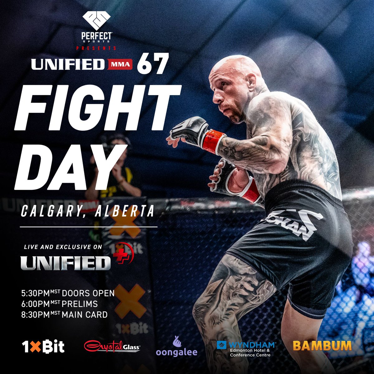 Unified MMA tweet media