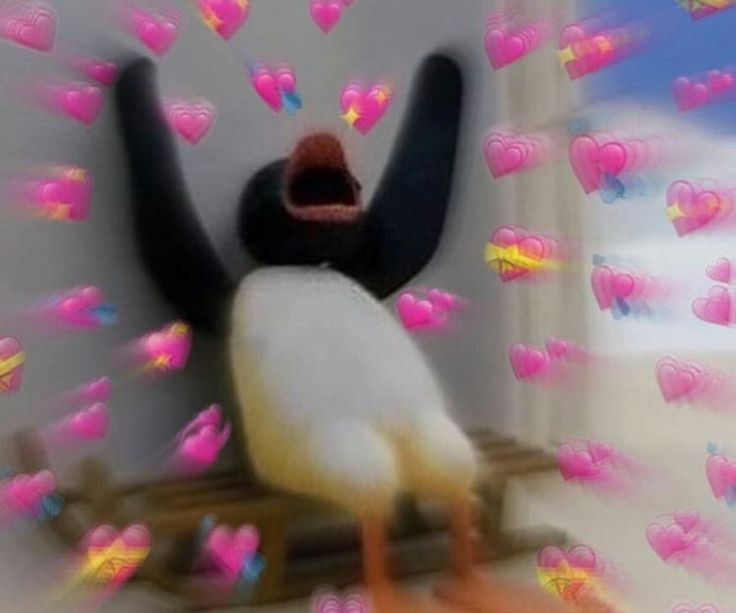 Little_Sam👁👁 tweet media