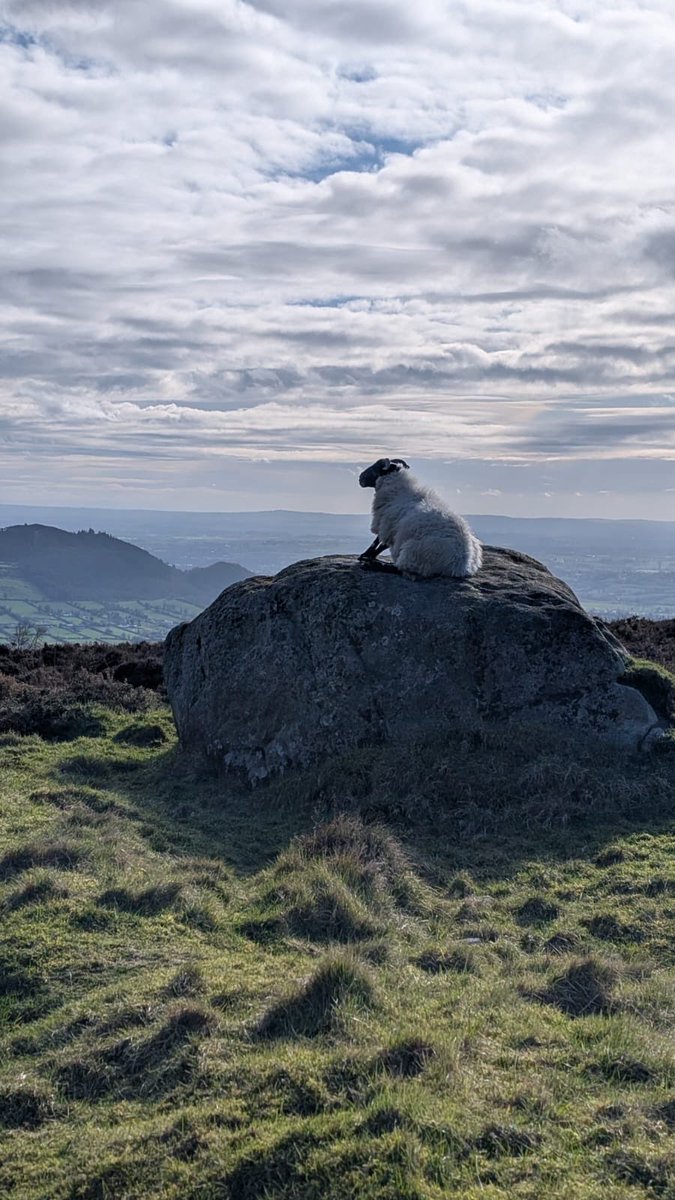 Conor Murphy tweet media