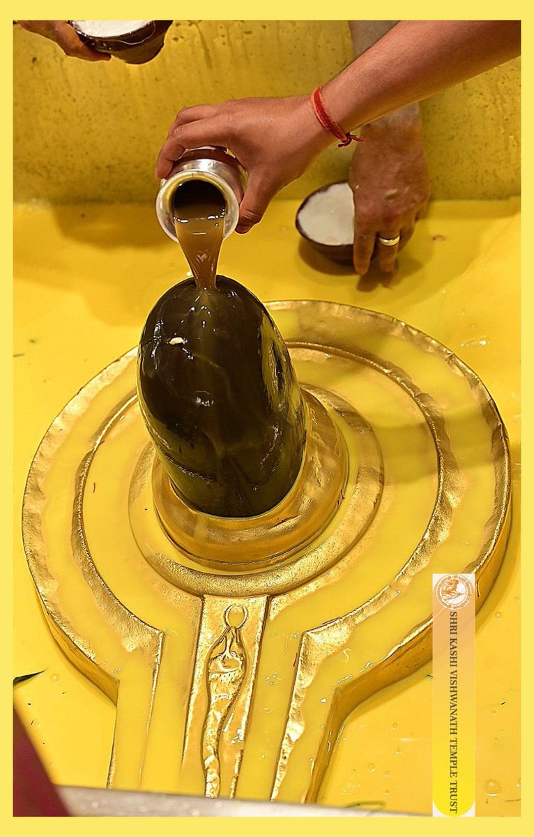 श्री काशी विश्वनाथ जी की सप्तऋषि आरती I
#kashivishwanath #kashi #sanatandharma #banaras