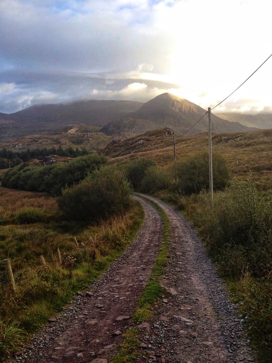 Gerard Sheehy tweet media