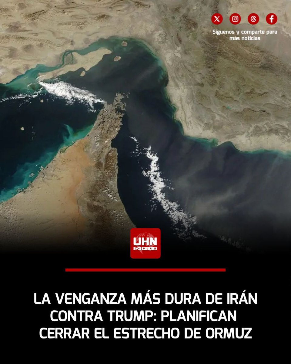 UHN Plus tweet media