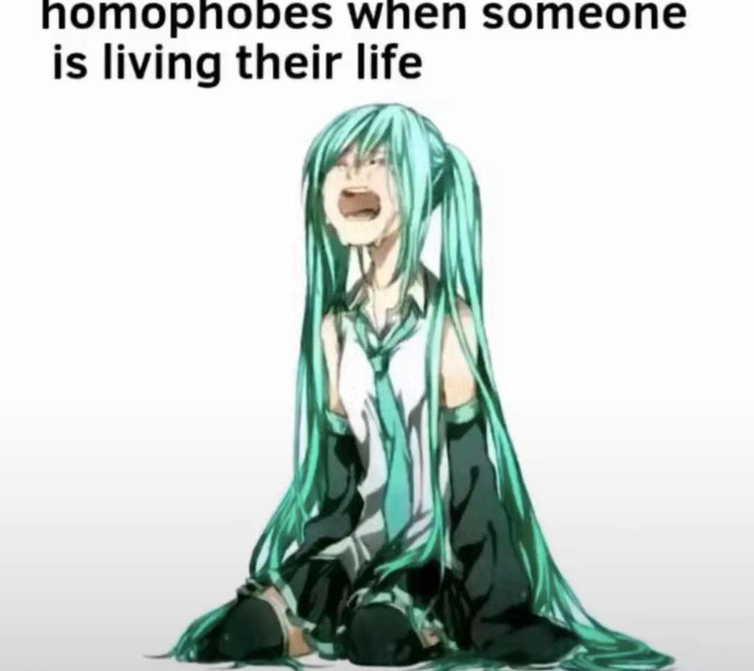 ◌⑅⃝●♡⋆♡ 🏳‍🌈 ᨰׁׅ12ᥣׁׅ֪ᥣׁׅ֪27 🏳‍🌈 ♡⋆♡●⑅⃝◌ tweet media