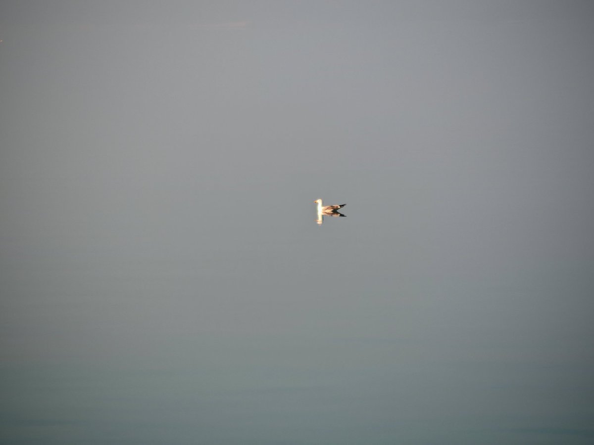 Proti soncu seže ta, ki zna
ostati sam, ko je sam 
🎶🎶
                                           Hazard