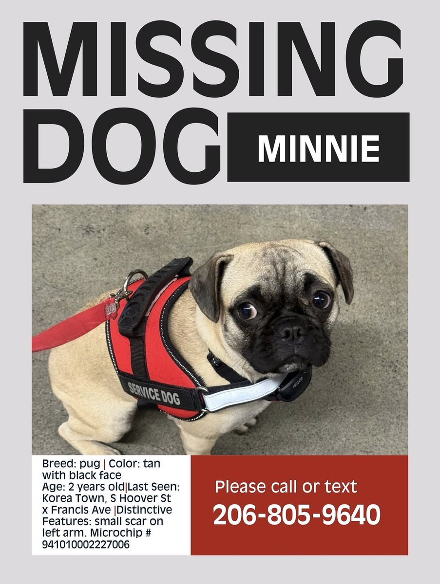 Cory Popp tweet media