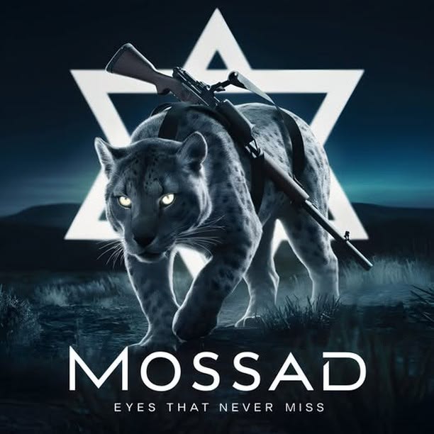 Israeli Elegance tweet media