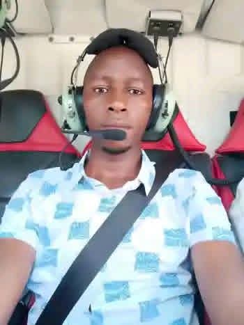 Tilingi 🐘 tweet media