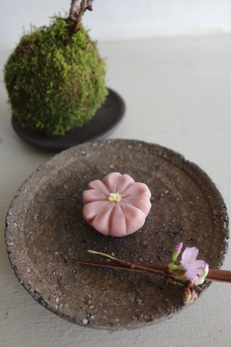 chika_bodymake's tweet photo. とんでもなく良い教室を見つけてしまった。
桜の苔玉レッスンと和菓子も作らせていた
場所も南青山で静かなポカポカ日当たりの良いお教室

丁寧な時間を過ごさせてもらえ
新しい価値観を学ぶ
自分の欲しかった落ち着くひととき。

tamotamoさんありがとうございました🌸

#自分なりの丁寧な暮らし https://t.co/RVlw7eSiFW