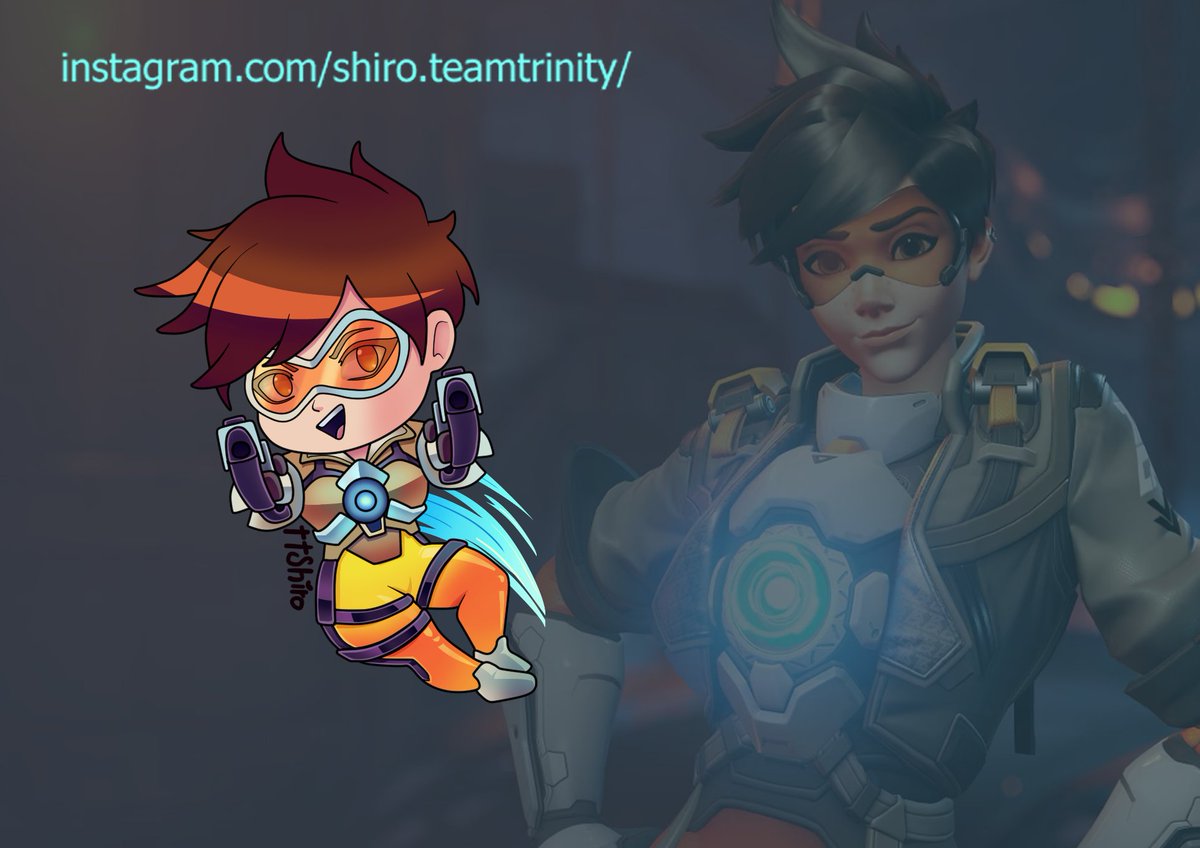 Shiro Team tweet media