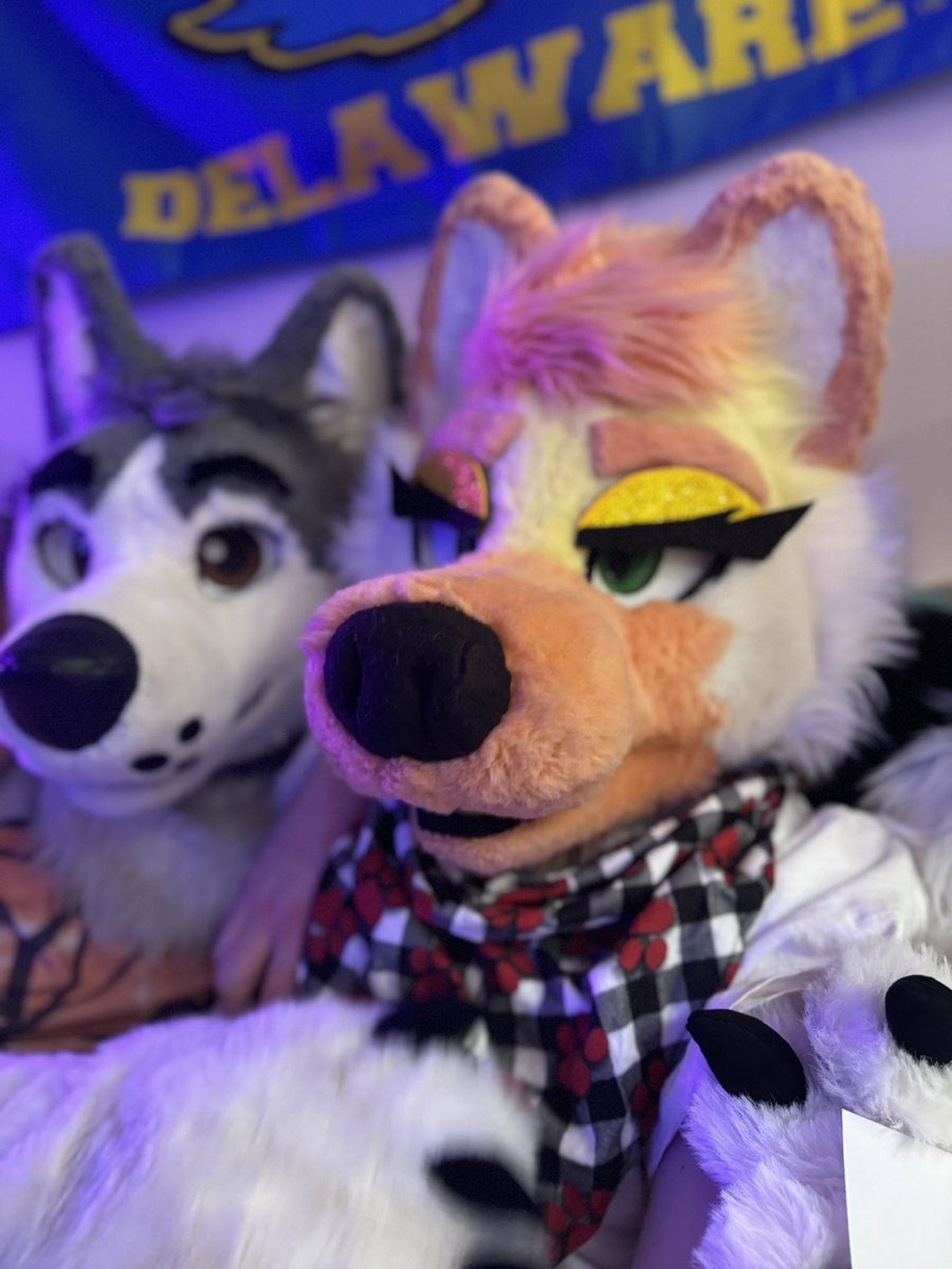 Flapjack 🪶 @ FTM tweet media